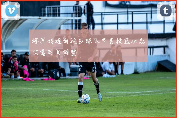 塔图姆逐渐适应球队节奏投篮状态仍需时间调整
