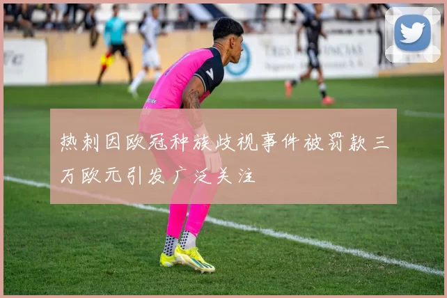 热刺因欧冠种族歧视事件被罚款三万欧元引发广泛关注