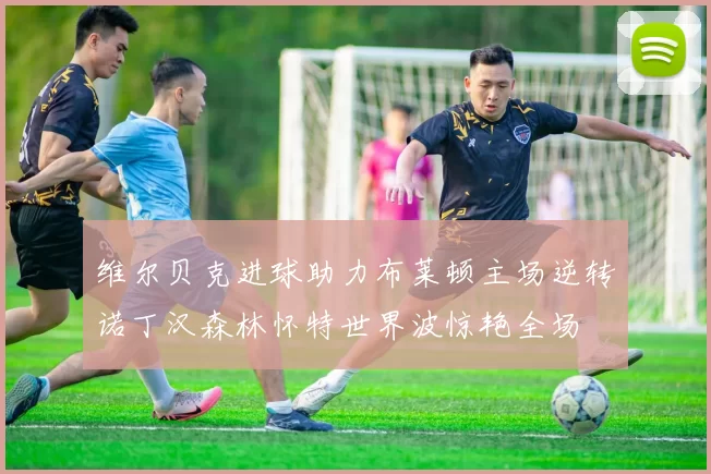 维尔贝克进球助力布莱顿主场逆转诺丁汉森林怀特世界波惊艳全场